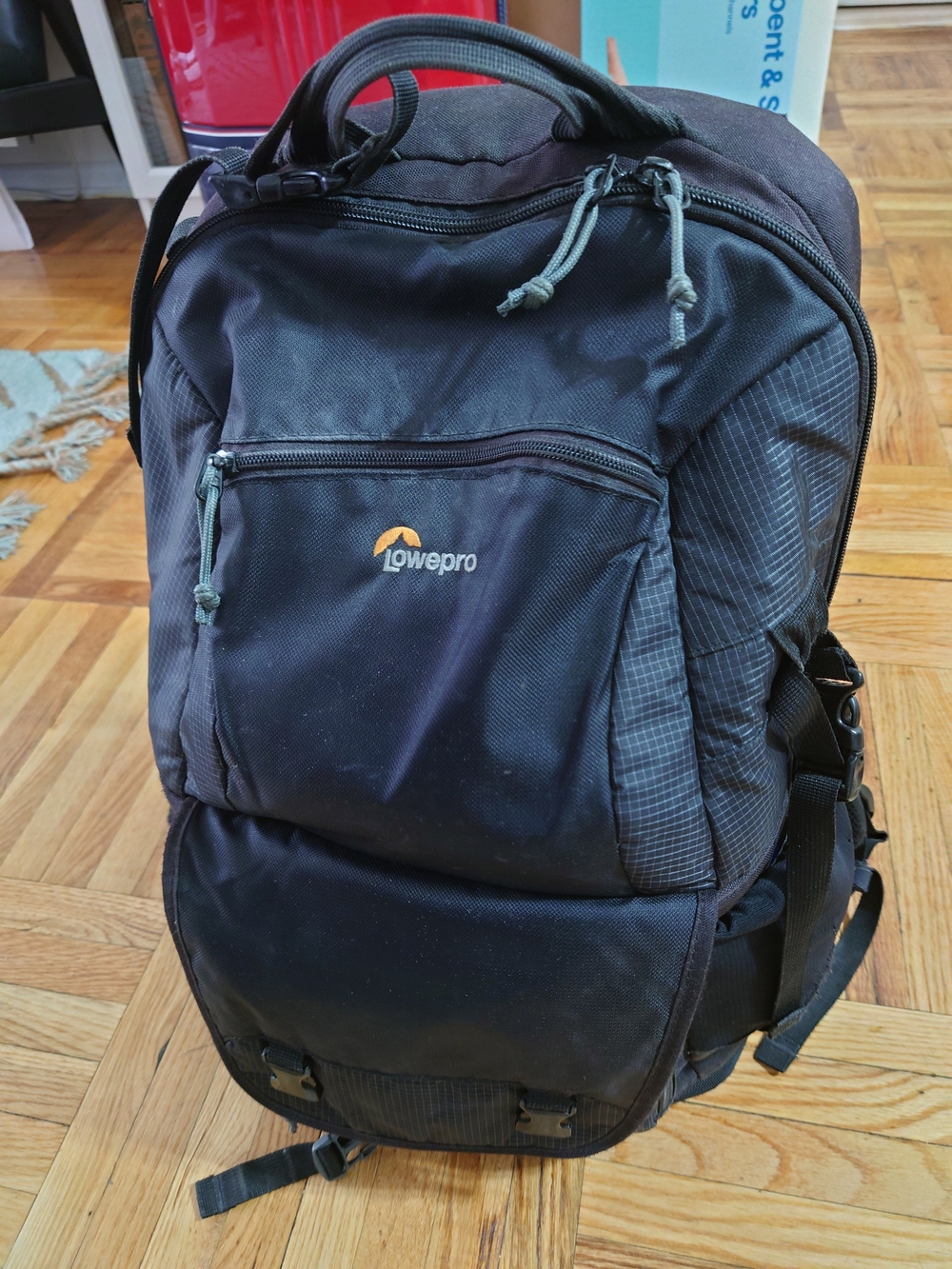 Lowepro BP 250 AW II Black Camera Backpack with Organized Storage